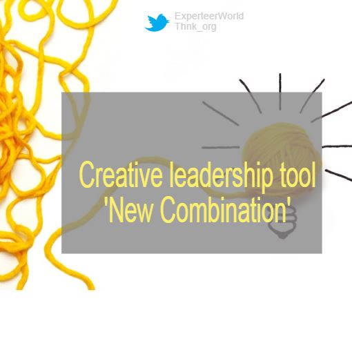 Leadership tools for senior managers new combination