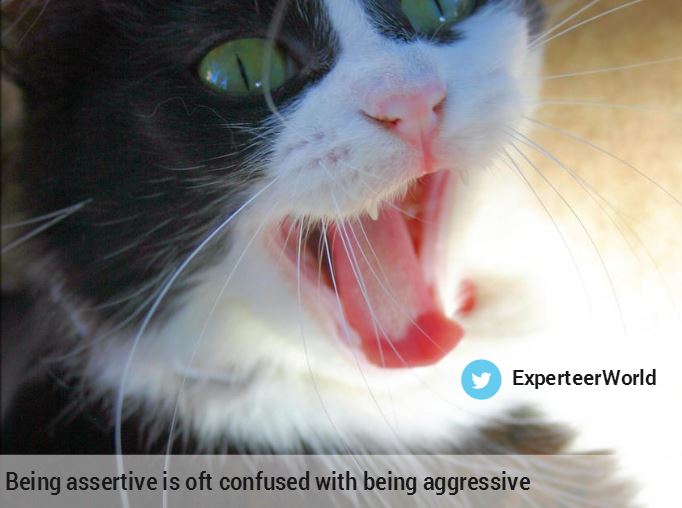 management jobs in california need assertiveness